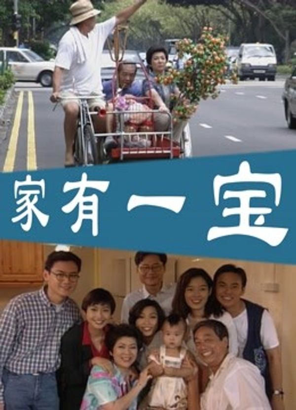 家有一宝封面图