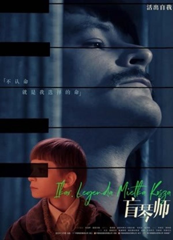 盲琴师国语封面图