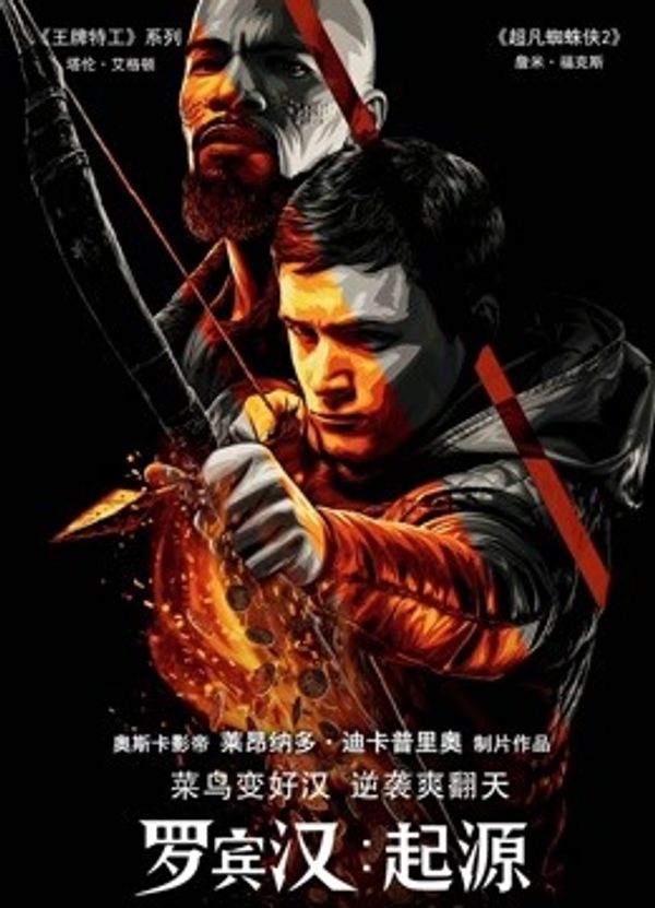 罗宾汉：起源国语封面图