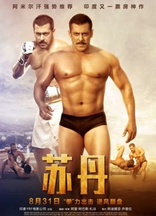 苏丹国语封面图