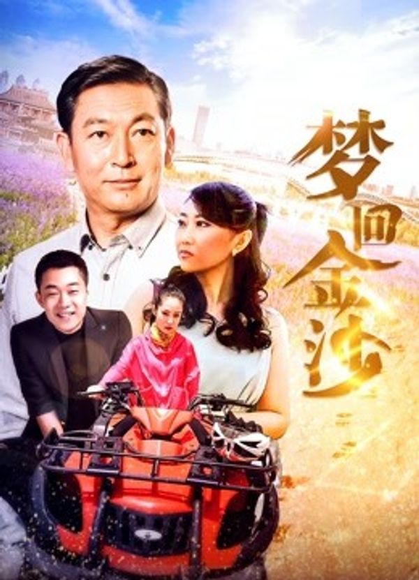 梦回金沙封面图