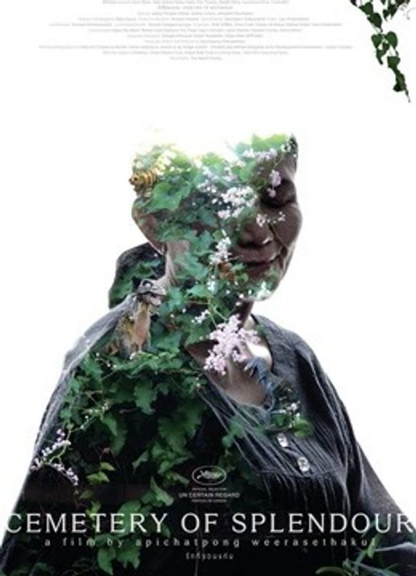 幻梦墓园封面图