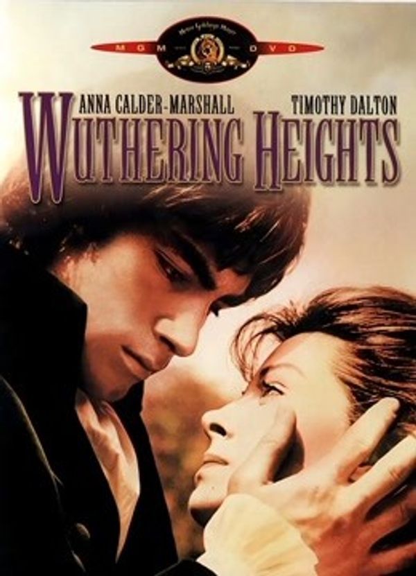 呼啸山庄（1992）封面图
