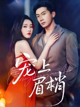 宠上眉梢封面图