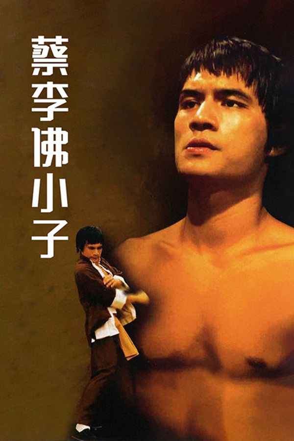 蔡李佛小子封面图