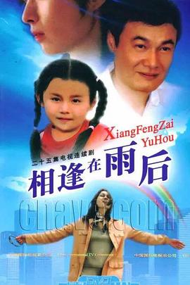 相逢在雨后封面图