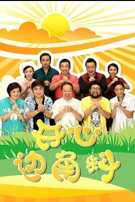 开心边角料封面图