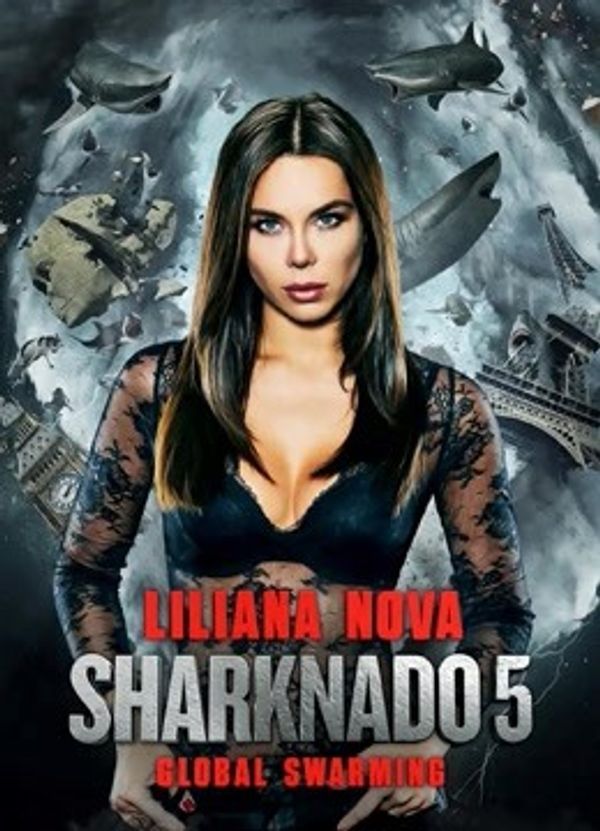 鲨卷风5国语封面图