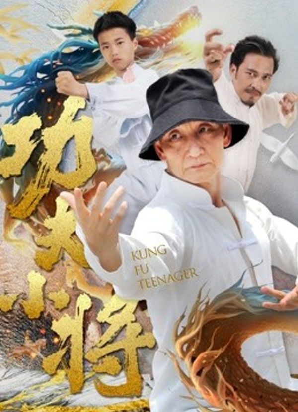 功夫小将封面图