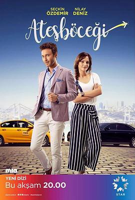 萤火虫2017封面图