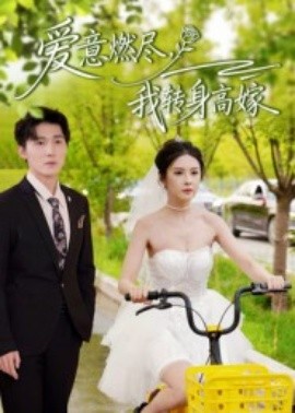 爱意燃尽，我转身高嫁封面图