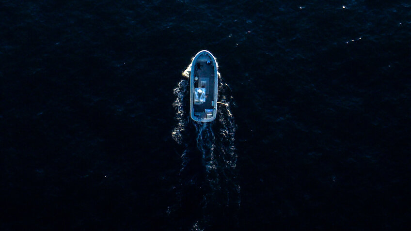 卡曼家族死亡谜案封面图