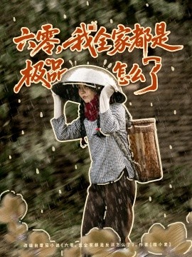 六零，我全家都是极品怎么了封面图