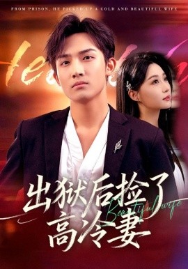 出狱后捡了高冷妻封面图